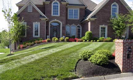Knoxville Tree Pruning, Bush, Hedge and Shrub Trimming Services ...